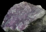 Cubic, Purple Fluorite Crystal Cluster - China #33710-4